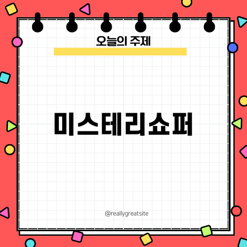 미스테리쇼퍼: 비밀의 평가전문가