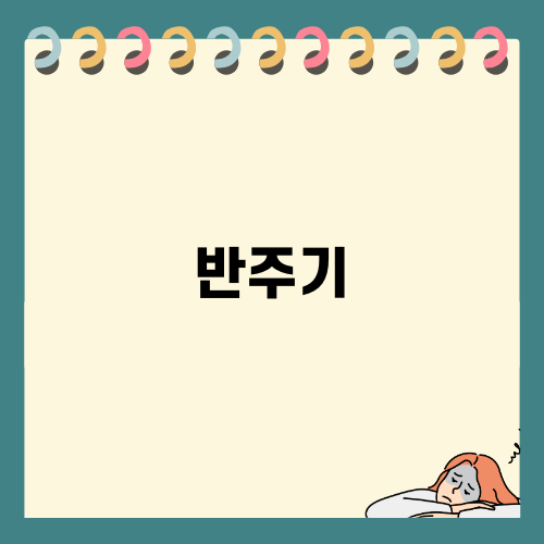 북한 화면반주기 정책